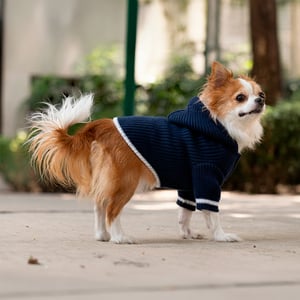 Fabdog Fall Suéter Cozy de Punto Grueso Color Azul para Perro, Grande Fabdog Fall Suéter Cozy de Punto Grueso Color Azul para Perro, Grande