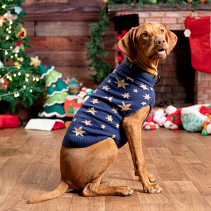 Merry Makings Holiday Suéter Azul Patrón Estrellas Doradas para Perro, Grande