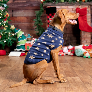 Merry Makings Holiday Suéter Azul Patrón Estrellas Doradas para Perro, Grande