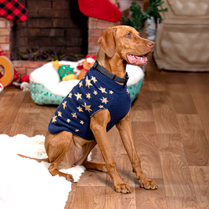 Merry Makings Holiday Suéter Azul Patrón Estrellas Doradas para Perro, Grande