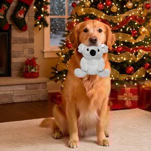 FuzzYard Holiday Koala Navideño de Peluche para Perro, Chico FuzzYard Holiday Koala Navideño de Peluche para Perro, Chico