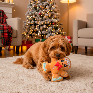 FuzzYard Holiday Galleta Decorada de Jengibre de Peluche para Perro, Mediano FuzzYard Holiday Galleta Decorada de Jengibre de Peluche para Perro, Mediano