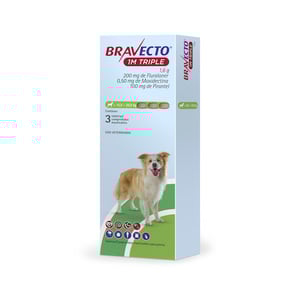 Bravecto 1M Triple Tripack Tableta Masticable Antiparasitaria Externa e Interna para Perro, 10 a 20 kg Bravecto 1M Triple Tripack Tableta Masticable Antiparasitaria Externa e Interna para Perro, 10 a 20 kg