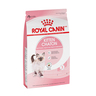 Royal Canin Alimento Seco para Gatito Hasta los 12 Meses, 3.18 kg