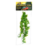 Zoo Med Natural Bush Hiedra del Congo de Decoración para Terrario, Grande Zoo Med Natural Bush Hiedra del Congo de Decoración para Terrario, Grande