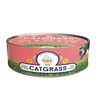 Un Dos Treats Catgrass Kit de Germinación para Pasto de Trigo para Gato Un Dos Treats Catgrass Kit de Germinación para Pasto de Trigo para Gato