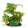 Imagitarium Decoración Planta Arácea para Terrario Imagitarium Decoración Planta Arácea para Terrario