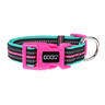 Doog Neon Colección Rin Tin Tin Collar de Neopreno Secado Rápido con Broche para Perro, Chico Doog Neon Colección Rin Tin Tin Collar de Neopreno Secado Rápido con Broche para Perro, Chico