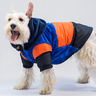 Urban Dog Chamarra Estilo Bale Azul, Chico Urban Dog Chamarra Estilo Bale Azul, Chico