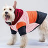 Urban Dog Chamarra Estilo Bale Rosa, Mediano Urban Dog Chamarra Estilo Bale Rosa, Mediano