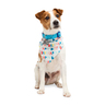 Youly Celebration Bandana de Cumpleaños Doble Vista para Perro, Chico/ Mediano Youly Celebration Bandana de Cumpleaños Doble Vista para Perro, Chico/ Mediano