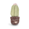 Lambwolf Peluche Rompecabezas Diseño Cactus para Perro,Mediano Lambwolf Peluche Rompecabezas Diseño Cactus para Perro,Mediano