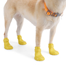 Youly Summer Botas para Lluvia de Silicón para Perro, Mediano Youly Summer Botas para Lluvia de Silicón para Perro, Mediano