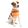 Youly Summer Bandana Naranja con Diseño de Monstruo para Perro, X-Chico/Chico Youly Summer Bandana Naranja con Diseño de Monstruo para Perro, X-Chico/Chico
