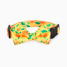 HugSmart Collar con Broche de Seguridad y Moño Patrón Mango para Gato, Grande HugSmart Collar con Broche de Seguridad y Moño Patrón Mango para Gato, Grande