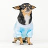 Dogtlan Playera Tie Dye Azul, Grande Dogtlan Playera Tie Dye Azul, Grande