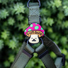 Jiby Charm para Personalizar Arnés Collar o Correa Diseño Hongo Divertido, 1 Pieza Jiby Charm para Personalizar Arnés Collar o Correa Diseño Hongo Divertido, 1 Pieza
