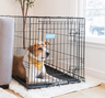 Carlson Jaula de Entrenamiento Plegable de Acero 1 Puerta con Doble Seguro para Perro, Grande Carlson Jaula de Entrenamiento Plegable de Acero 1 Puerta con Doble Seguro para Perro, Grande