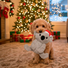 FuzzYard Holiday Koala Navideño de Peluche para Perro, Grande FuzzYard Holiday Koala Navideño de Peluche para Perro, Grande