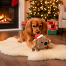 FuzzYard Holiday Wombat Navideño de Peluche para Perro, Grande FuzzYard Holiday Wombat Navideño de Peluche para Perro, Grande