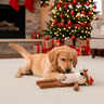 FuzzYard Holiday Reno Navideño Largo de Peluche para Perro, Grande FuzzYard Holiday Reno Navideño Largo de Peluche para Perro, Grande