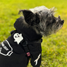 Jiby Charm para Personalizar Arnés Collar o Correa Diseño Fantasma, 1 Pieza Jiby Charm para Personalizar Arnés Collar o Correa Diseño Fantasma, 1 Pieza