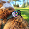 Jiby Charm para Personalizar Arnés Collar o Correa Diseño Pastel de Cumpleaños, 1 Pieza Jiby Charm para Personalizar Arnés Collar o Correa Diseño Pastel de Cumpleaños, 1 Pieza