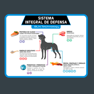 Tiër Holistic Alimento Natural para Perro Cachorro Raza Mediana/Grande Receta Pollo, 15 kg