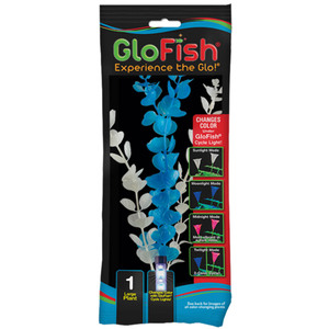 Glofish Planta Color Change Blue, Grande