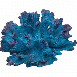 Imagitarium Estrella de Coral Decorativa para Acuario