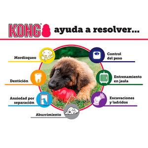 Kong Panal de Caucho Clásico para Cachorros