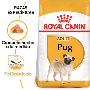 Royal Canin Alimento Seco para perro Adulto Raza Pug, 4.5 kg