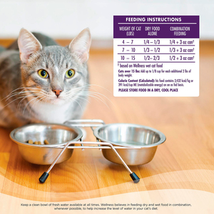 Wellness Complete Health Alimento Natural para Gato de Interior Receta de Salmón/Arenque, 2.2 kg