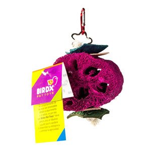 Birdx Repuesto de Juguete Natural de Esponja