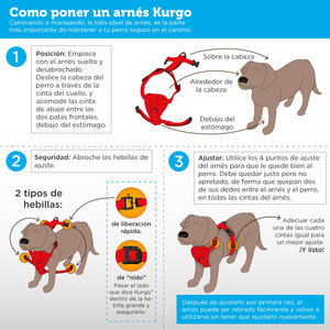 Kurgo Arnés para Viaje en Coche y Paseo Ajuste Romano para Perro, Grande